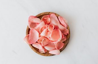pink rose petals in a wooden circular bowl. white background.