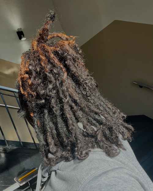 zaria with 3c curly locs black and brown dyed locs facing away from camera showing locs length